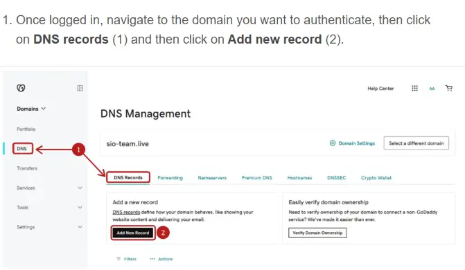 Adding DNS record to your hosting